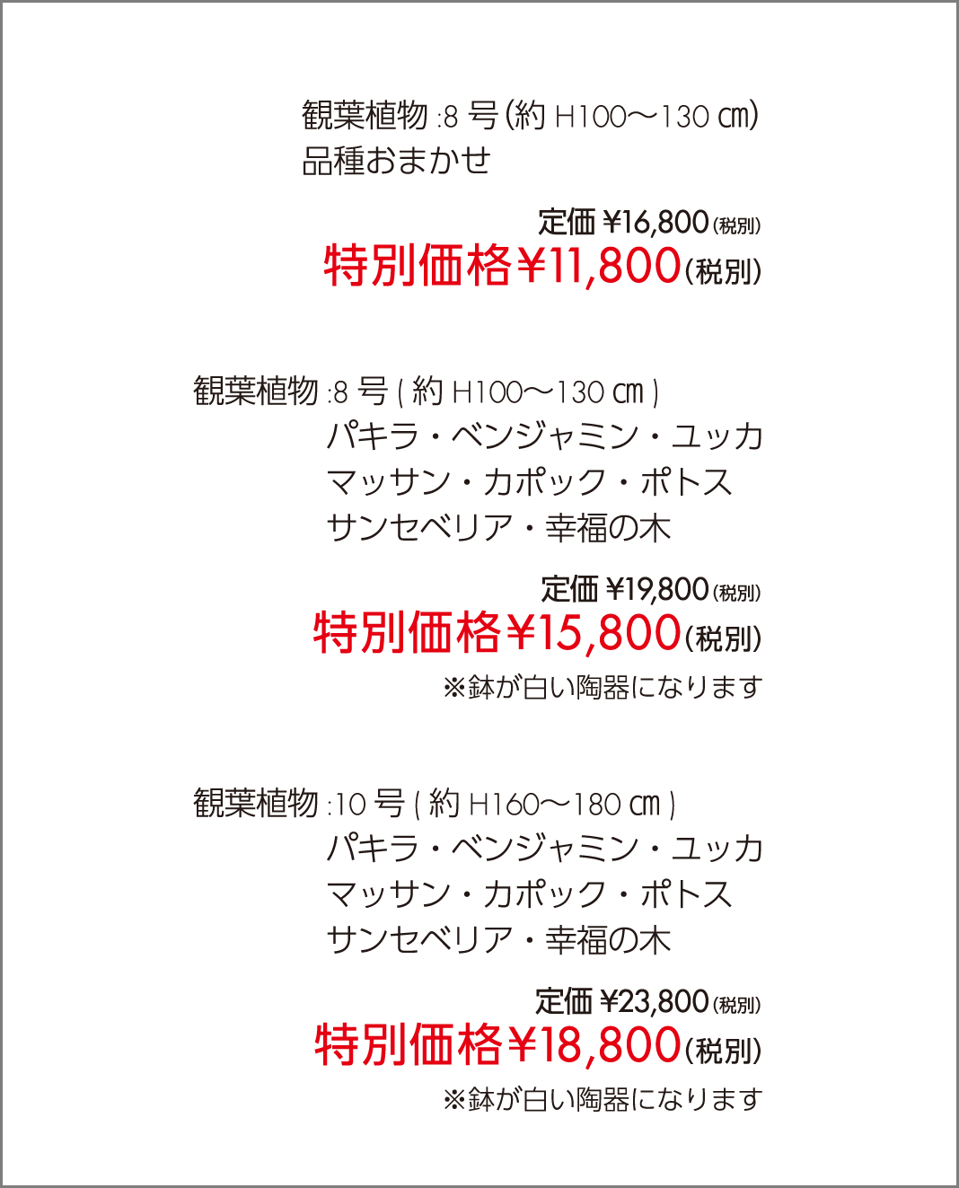 フラワーギフト 株式会社mit